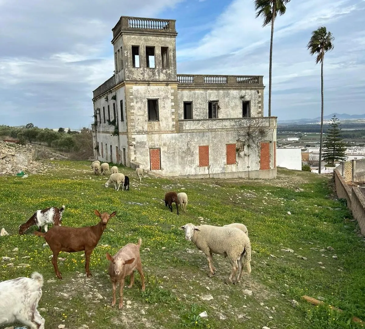 Guest house Hostal La Parada Bornos Spain