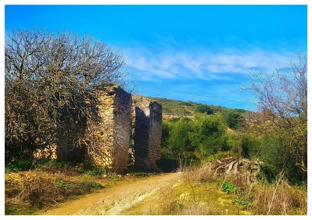 Guest house Hostal La Parada Bornos